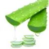 Aloe Vera Extract